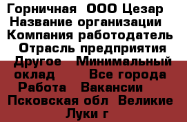 Горничная. ООО Цезар › Название организации ­ Компания-работодатель › Отрасль предприятия ­ Другое › Минимальный оклад ­ 1 - Все города Работа » Вакансии   . Псковская обл.,Великие Луки г.